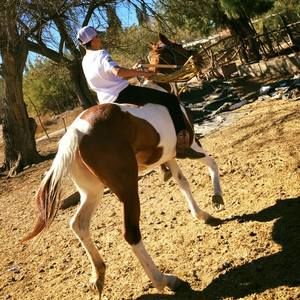 Meet your Posher, Abel